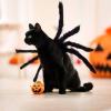 10 beste Halloween -kostymer for katter