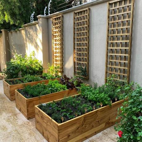 Courtyard Vegetable Garden Cortesía de @potager Urban Garden Design Via Instagram