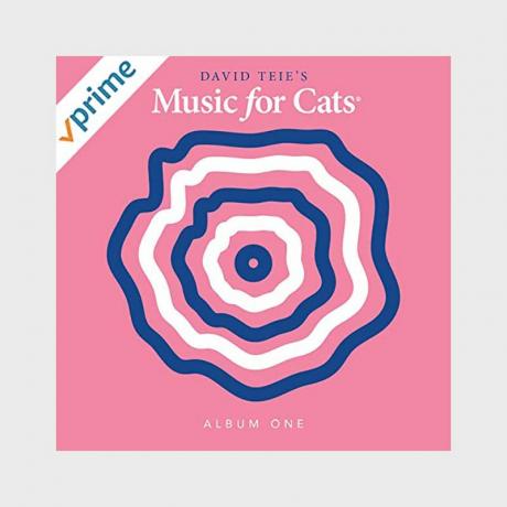 Музика за мачке