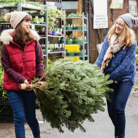 Een kerstboom kopen bij een tuinwinkel