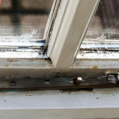 Condensación de moho en la ventana cil