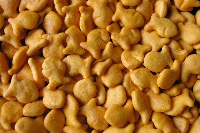 Biscoitos de peixinho dourado como plano de fundo