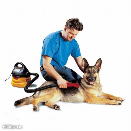 No cepille al perro, ¡use una aspiradora en su lugar!