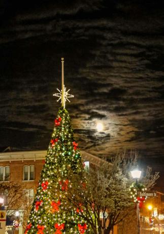 Рождественская елка огни ночное небо
