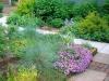 Xeriscape Gardening: ปลูกพืชโดยใช้น้ำน้อยลง