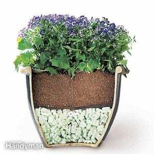 Conseils pour déplacer des plantes en pot lourdes