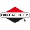 Briggs og Stratton filer for konkurs