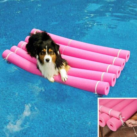 DIY Pet Water Raft com macarrão de piscina