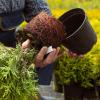 10 conseils de jardinage pratiques pour les personnes occupées