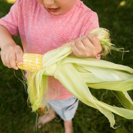 Dječak (4-5) ljušti klipove kukuruza