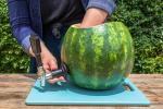 Vi forsøgte at trykke på en vandmelonfad. Her er hvad der skete