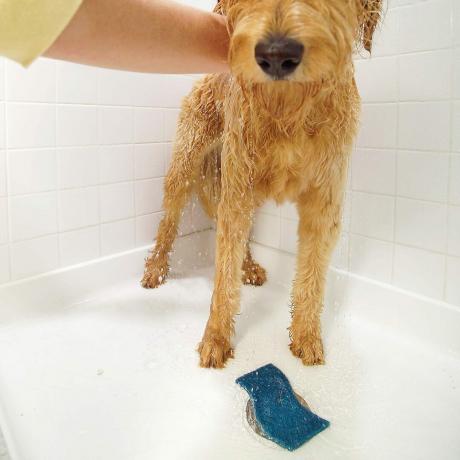 Filtruj futro podczas mycia psa pod prysznicem