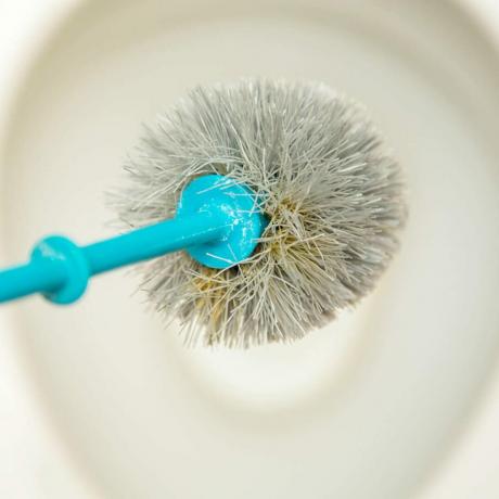 Shutterstock_503436322 tuvalet fırçası