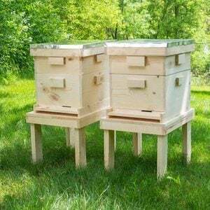 मधुमक्खी के छत्ते का निर्माण कैसे करें