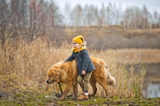 De wandeling van een kind met een grote hond op het meer.