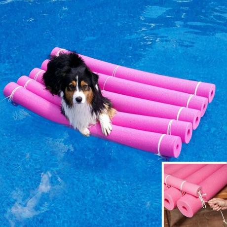 Собака с лапшой в бассейне Crafty Water Raft