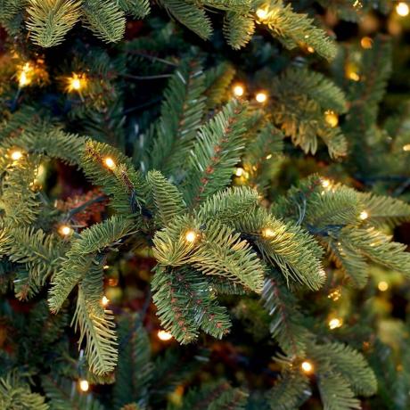أضواء شجرة عيد الميلاد