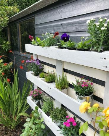 Pionowy ogród z palet dzięki uprzejmości @mac.home.project przez Instagram