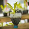 15 креативных способов повесить растение на открытом воздухе - семейный разнорабочий