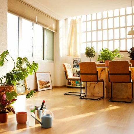 प्राकृतिक रोशनी और गर्म टोन के फर्नीचर के साथ आधुनिक, अच्छी रोशनी वाले मचान में घरेलू कमरे में गमले में पौधे