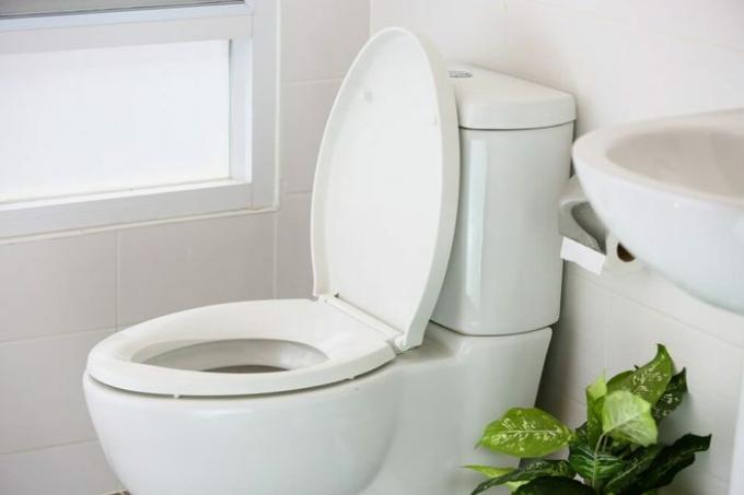 inodoro blanco en casa moderna, inodoro blanco en la sala de limpieza, líquido de descarga en el inodoro, inodoro privado en la habitación moderna, equipamiento interior y baño moderno, inodoro de limpieza.