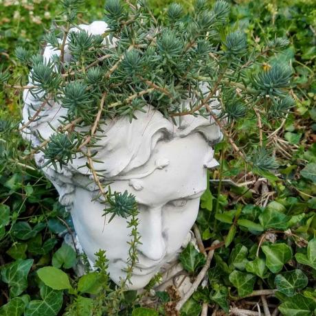 trädgård skulptur huvud