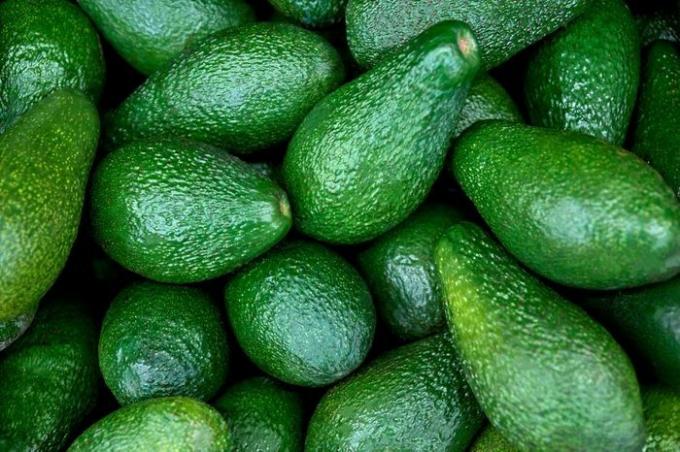 verse avocado op de markt. avocado's zijn zeer voedzaam en bevatten een grote verscheidenheid aan voedingsstoffen. 