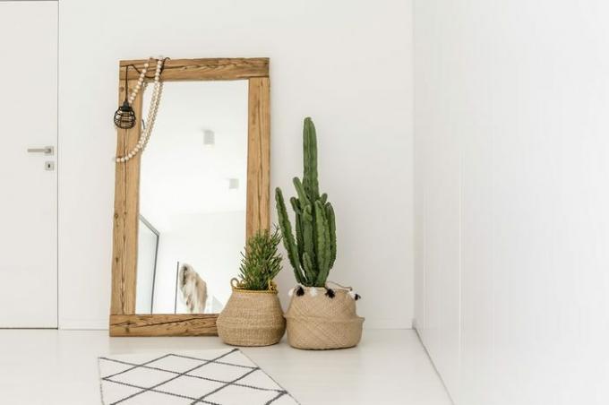 Enorm spegel tillsammans med växter i vardagsrummet