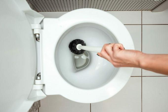 Nærbilde, kvinnelig hånd vasker en toalettbørste. Konseptet med renslighet i huset, hygiene, toalett, mikrober.