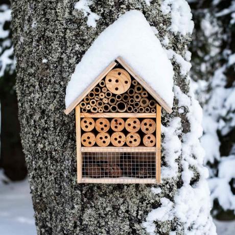 Maison d'insectes en bois accrochée à un arbre dans la neige d'hiver