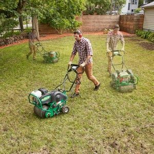 Como consertar um gramado com ervas daninhas e irregulares