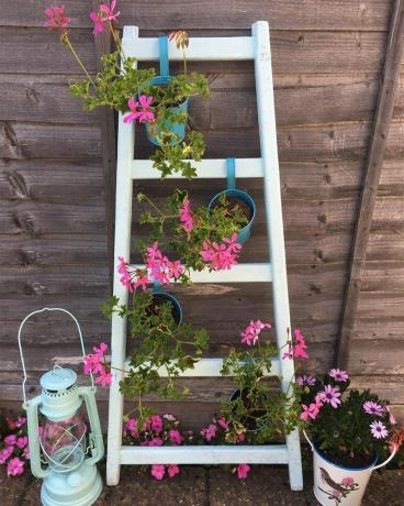 Ladder Vertical Garden Courtesy @in Need Of Vitamin Sea cez Instagram