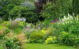 Çok Yıllık Bitkilerinizle Yapabileceğiniz 7 Bahçe Hatası