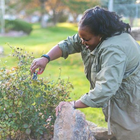 Жена подрязва градината през есента