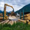 Цените на дървения материал достигнаха двугодишен връх през юли