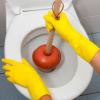 टॉयलेट प्लंजर को कैसे साफ करें