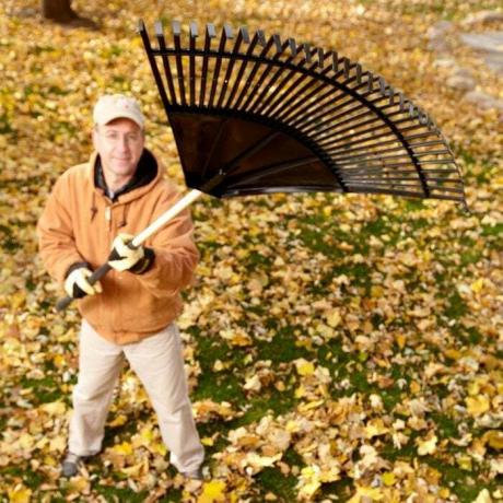 14 patarimų, kaip elgtis su lapais kaip profesionalas | Šeimos meistras