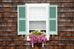 6 najboljših rastlin za okenske škatle