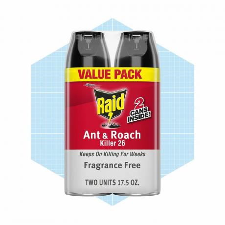 Raid Ant & Roach Killer 26