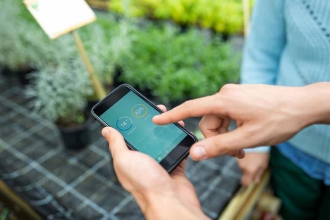 surveiller les plantes à l'aide d'une application mobile