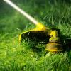 31 tips för att uppnå en frodig gräsmatta den här säsongen - The Family Handyman