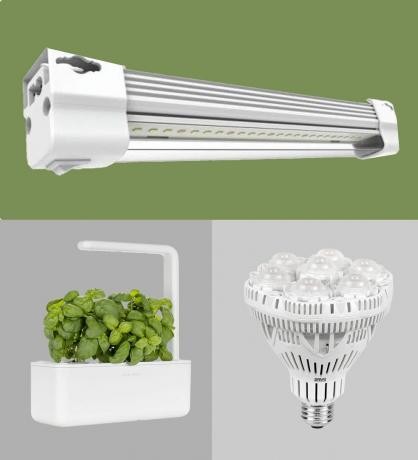 Imagen destacada de las 8 mejores luces de cultivo para plantas de interior