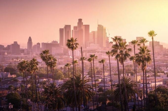 Schöner Sonnenuntergang der Skyline der Innenstadt von Los Angeles und Palmen im Vordergrund
