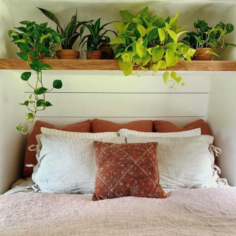 작은 집 침실 식물