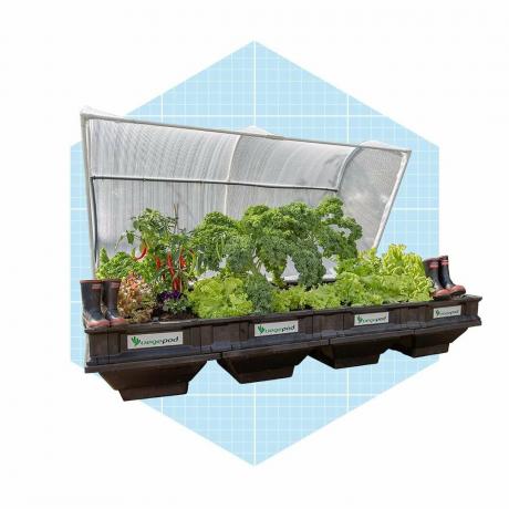Canteiro elevado de jardim com irrigação automática Vegepod