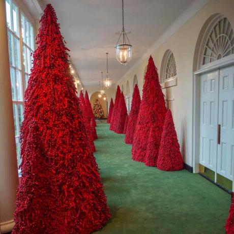 2018-Beyaz Saray-Noel-Ağacı