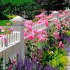 Idei de paturi de flori pentru partea din față a casei tale