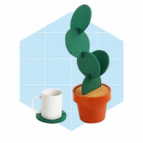 Cactus Coaster Sett