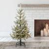 2022. aasta kuus parimat kunstlikku jõulupuud kohe müügil