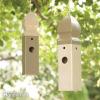 Bird House: Sådan bygger du et Wren House (DIY)
